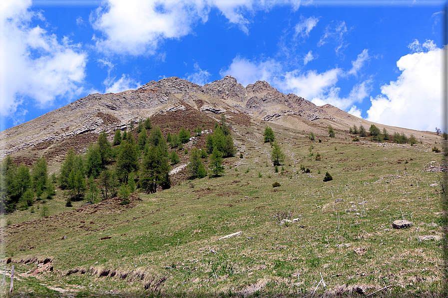 foto Forca Rossa e Passo San Pellegrino